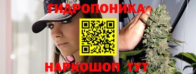 прущие грибы Тула