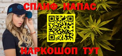 прущие грибы Тула