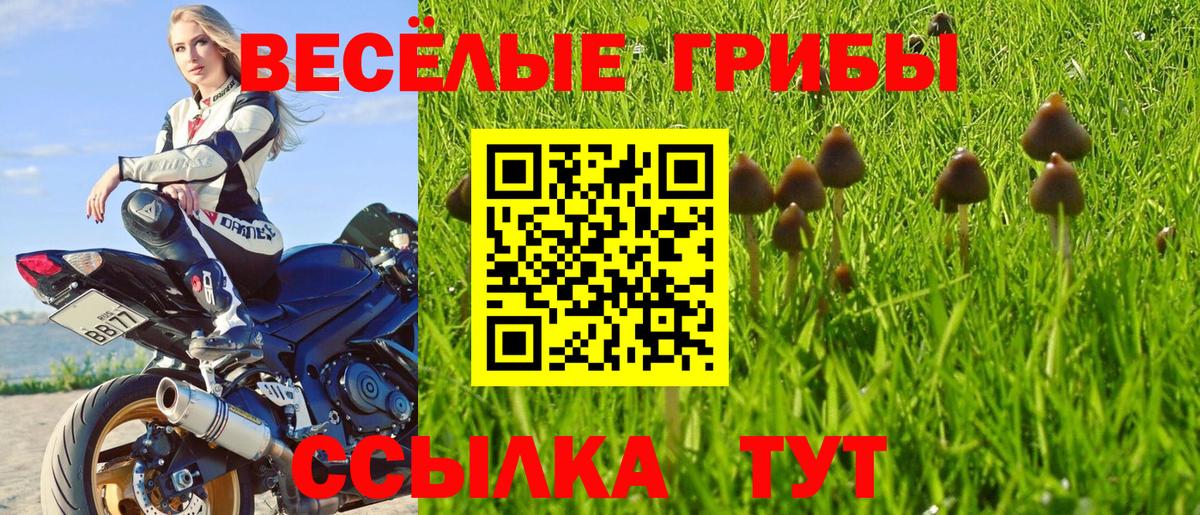 Бийск  Псилоцибиновые грибы Magic Shrooms  продажа наркотиков  Вход с VPN 